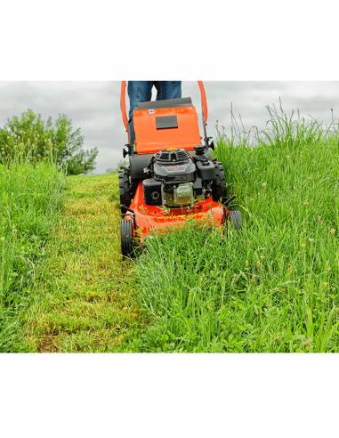 Cortacesped OUTILS WOLF RT53X1