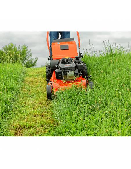 Cortacesped OUTILS WOLF RT53X1